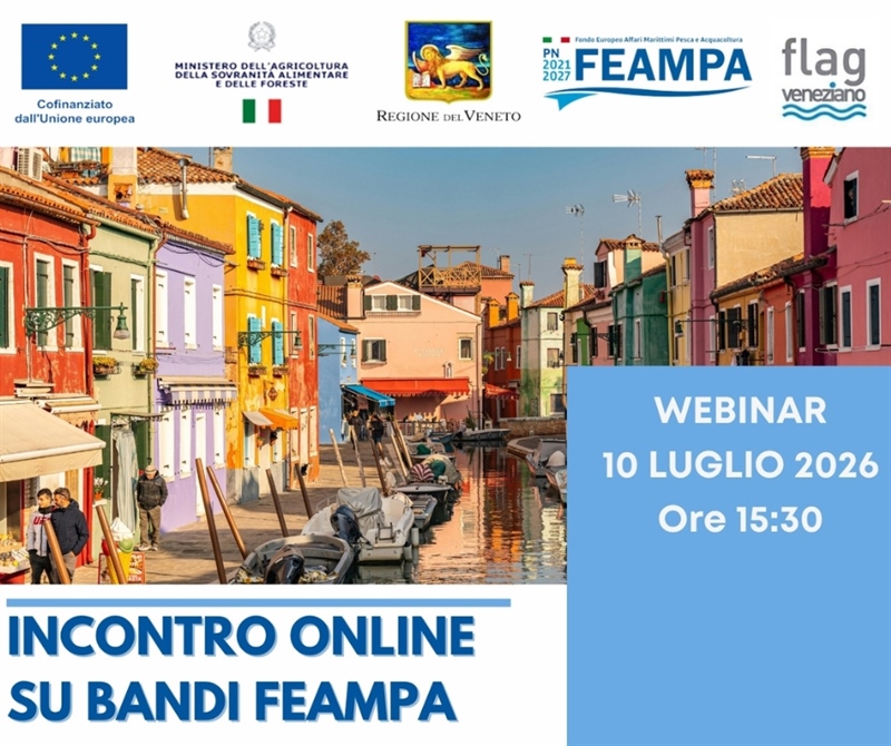INCONTRO ONLINE SU BANDI FEAMPA